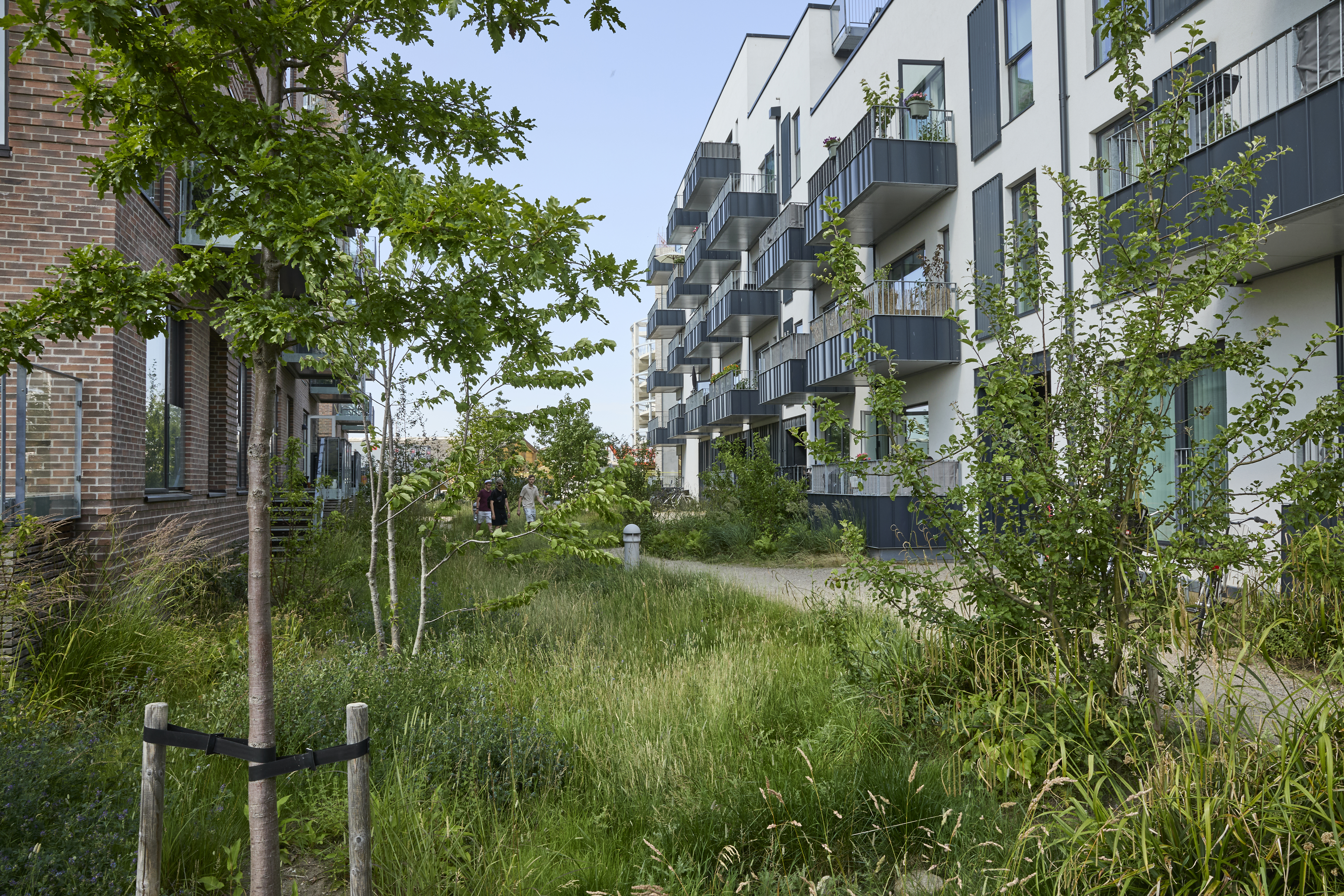 CHF 250703 Real Dania Køgebydel EES4259