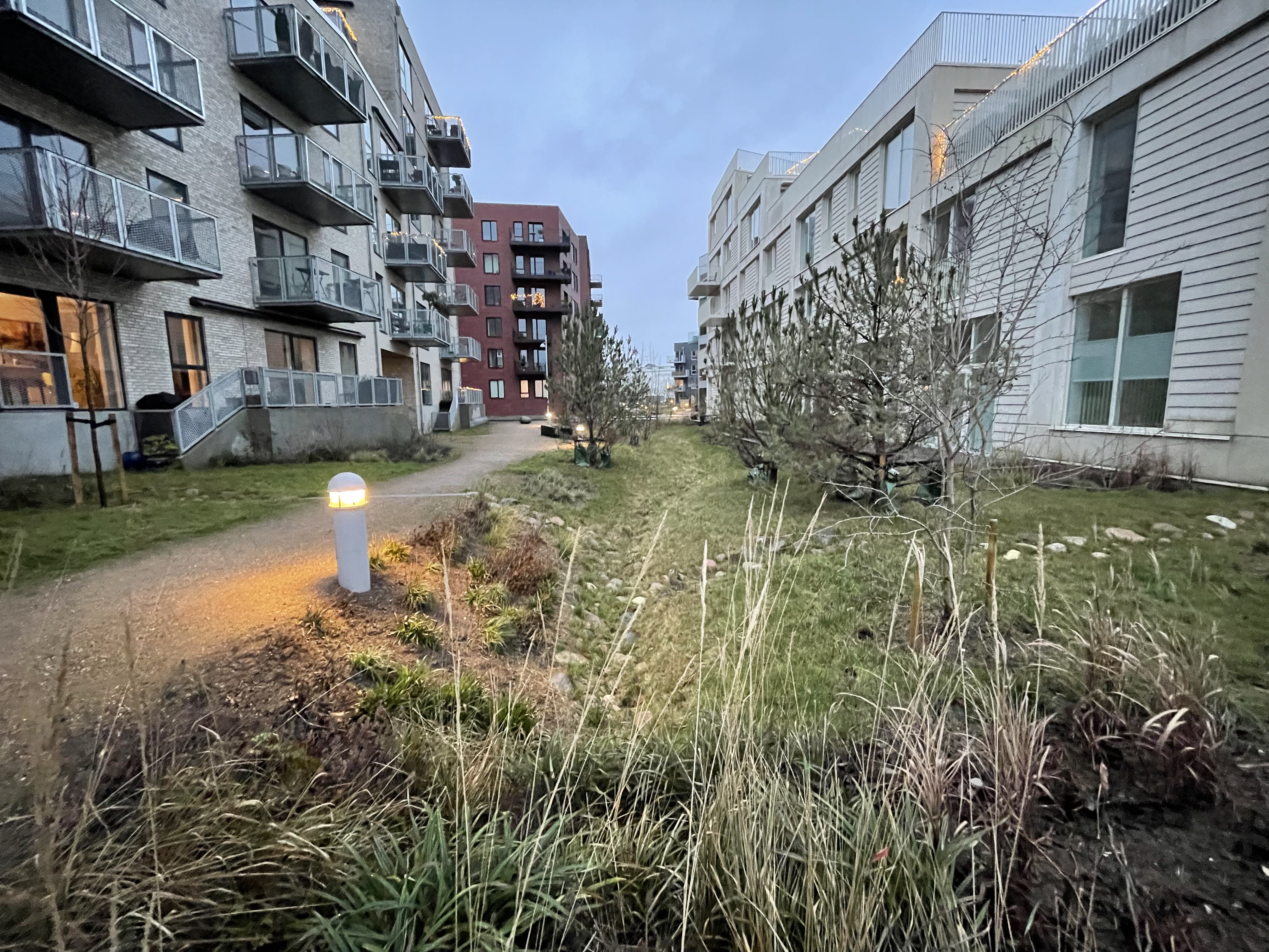 Pressefoto Alminding mellem Havblik og Strandterrasserne