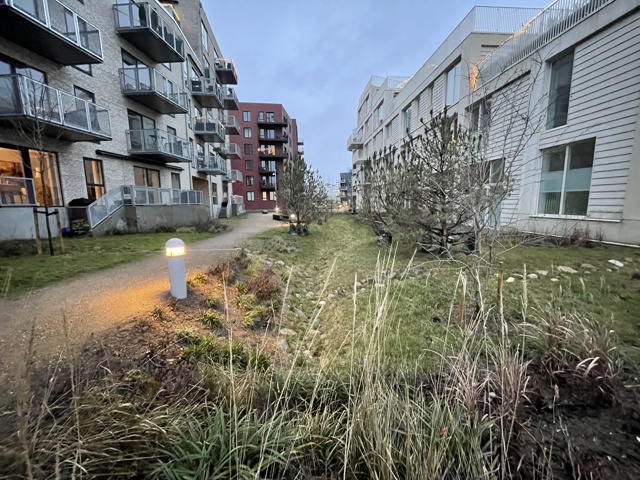 Pressefoto Alminding mellem Havblik og Strandterrasserne