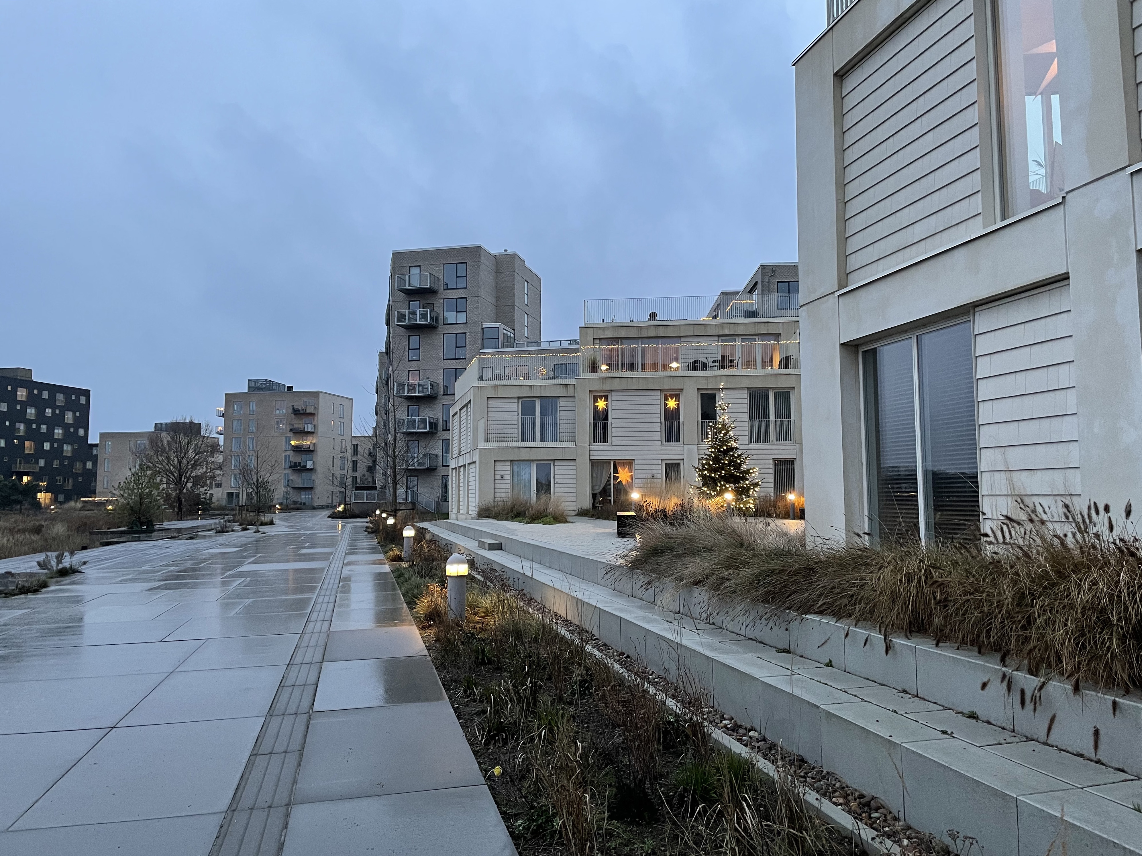 Pressefoto Ved Engkanten