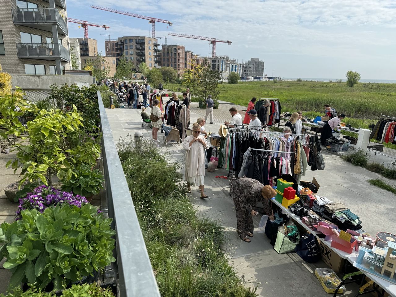 444154541 10230518337075614 6732177655154806203 N